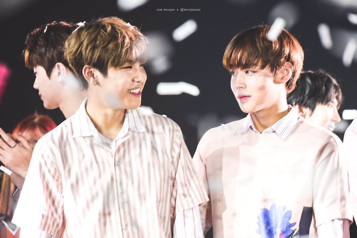 Park Ji Hoon trong nhóm nhạc Wanna One